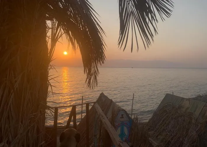 营地 Kalima Camp Nuweiba`